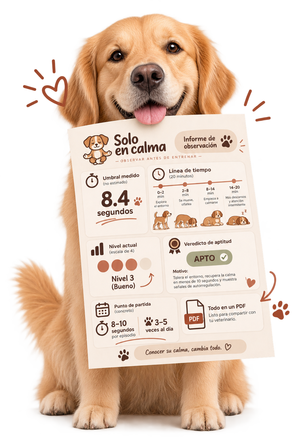Ilustración de un perro sosteniendo el informe de observación con el umbral, la línea de tiempo, el nivel y el veredicto de aptitud